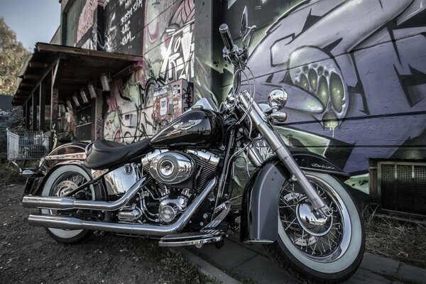 Harley-davidson motorcycle on graffiti background