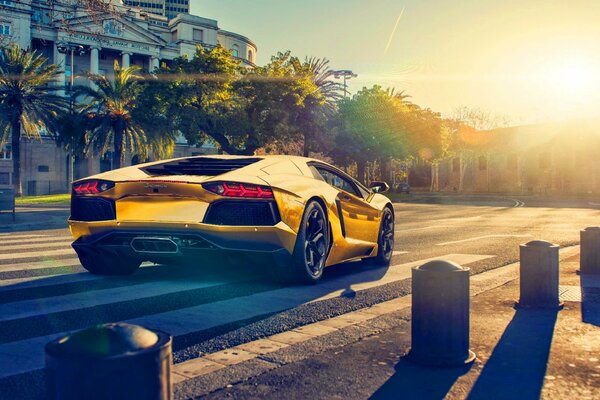 Towards the sun on a yellow lamborghini