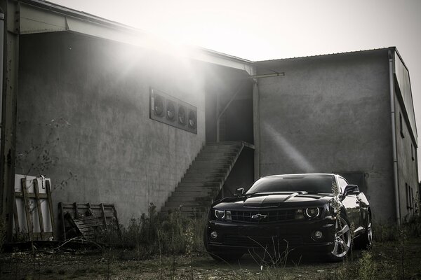 The glare of the rising sun on a Chevrolet Camaro