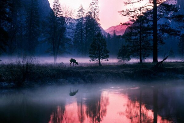 Ein See, der von einem Nebel aus der Vorweihnachtszeit umhüllt ist