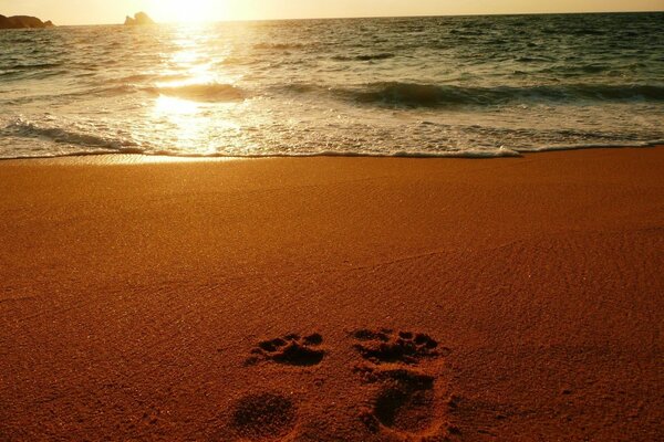 Ślady na piasku nad morzem o zachodzie słońca