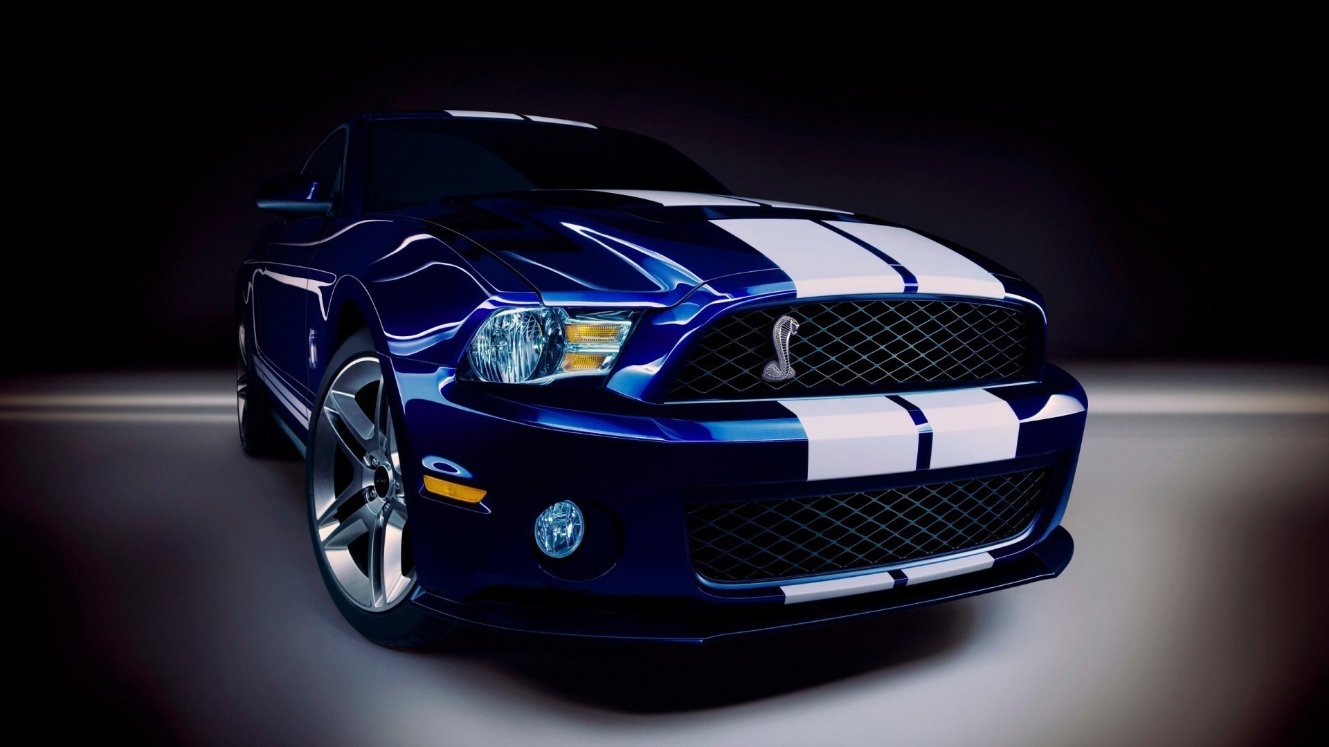 bleu ford mustang shelby gt500 cobra noir voiture