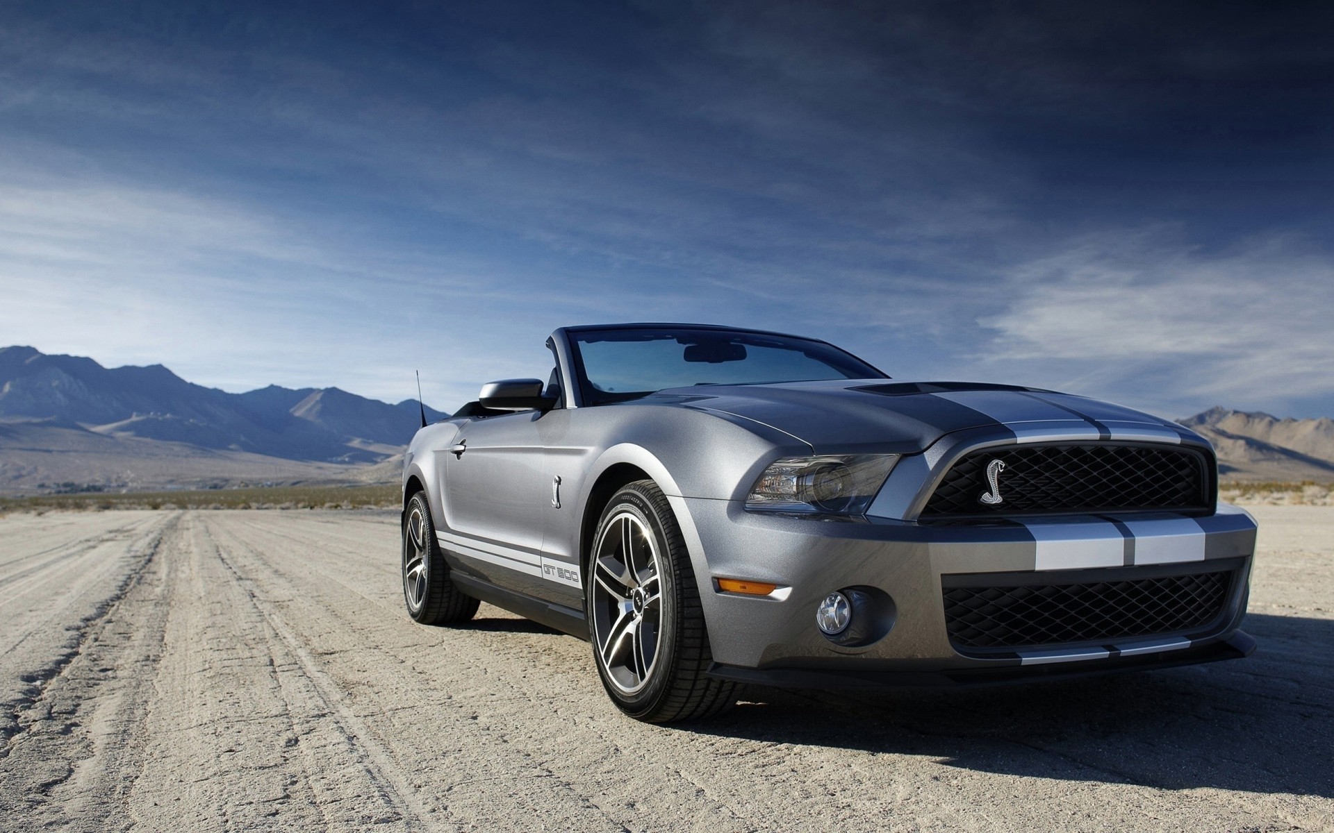 mustang cielo shelby ford