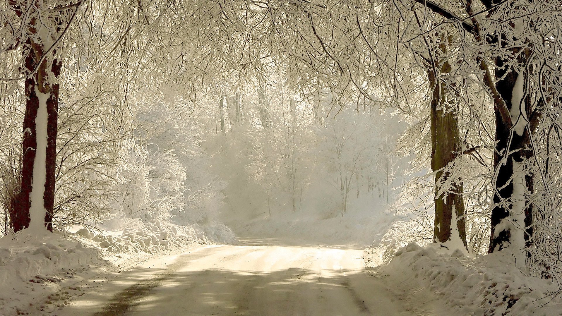 invierno naturaleza carretera nieve ramas luz árboles bosque sombra rayos del sol escarcha frío