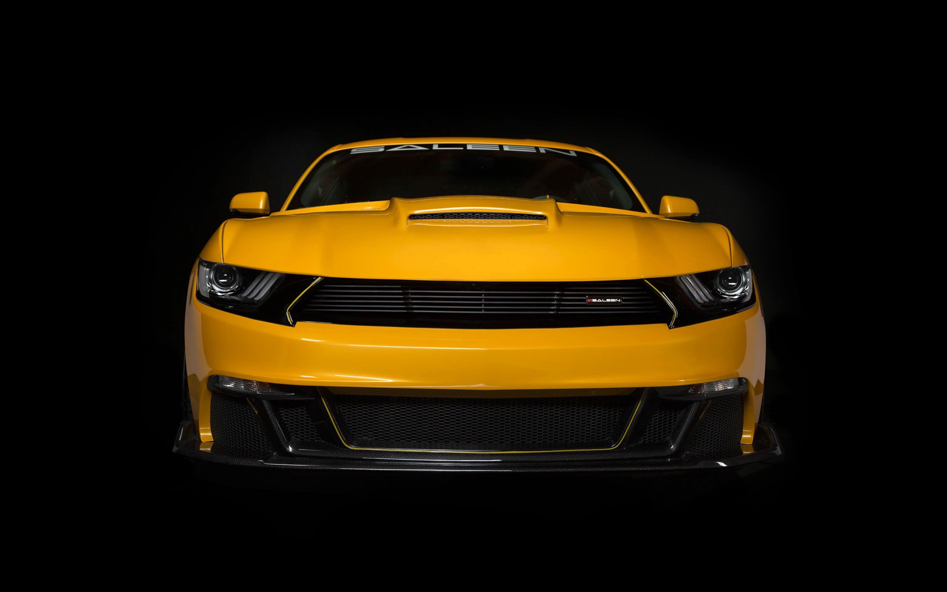 2015 saleen s302 etichetta nera muso paraurti fari