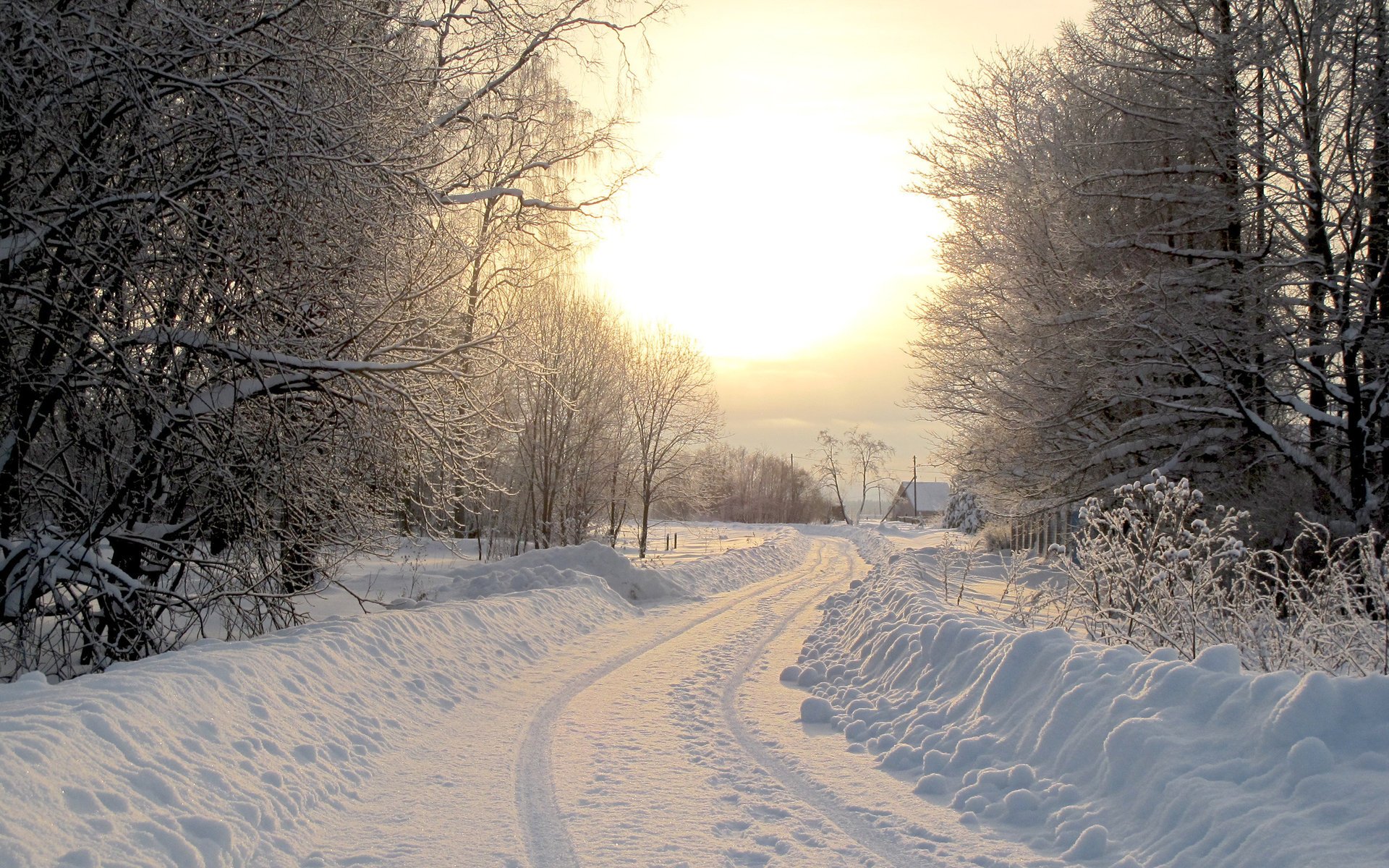 natur landschaften häuser winter straßen wintertapeten bäume baum straße wald foto schnee häuser kälte sonne