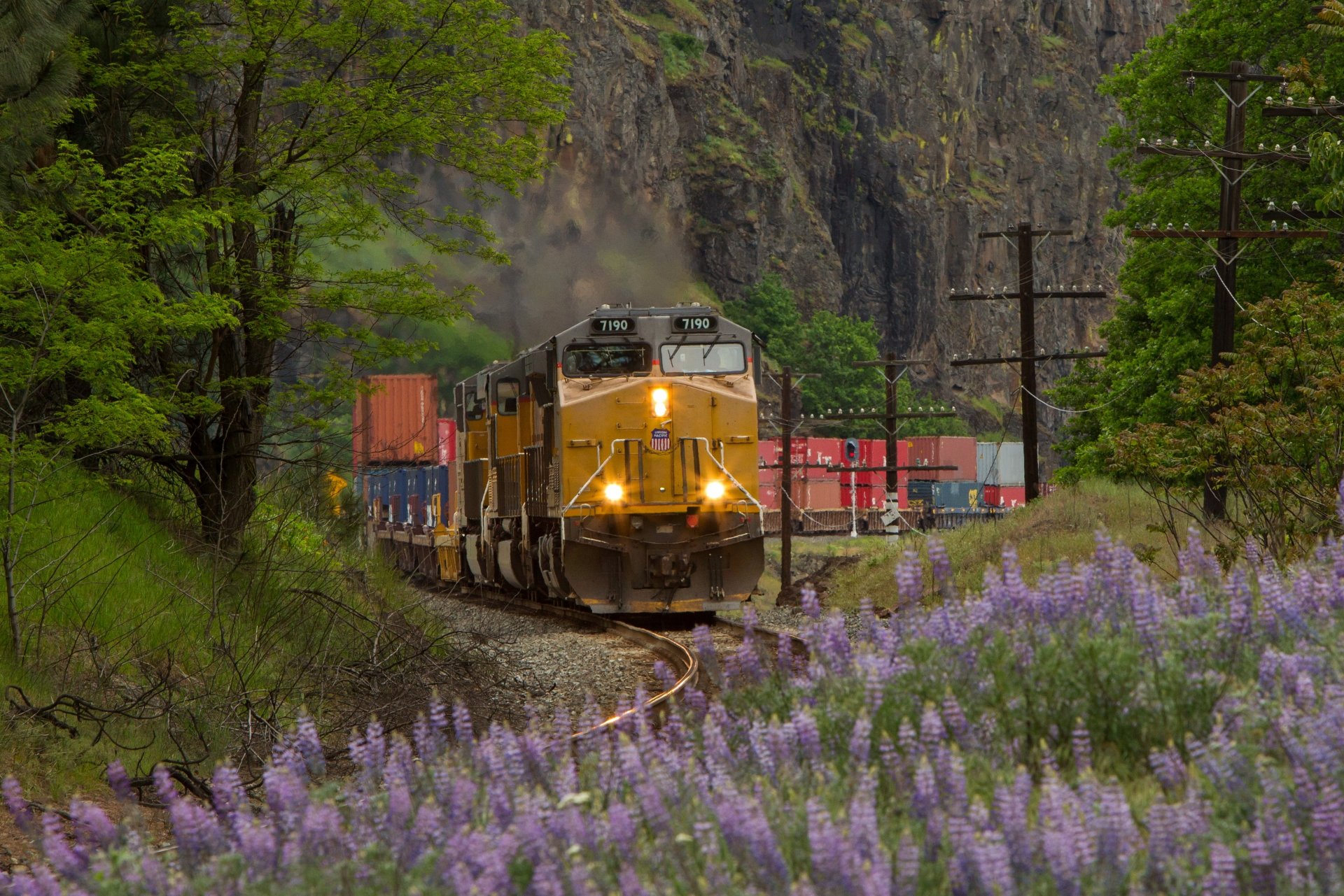 zug eisenbahn lokomotive schienen natur