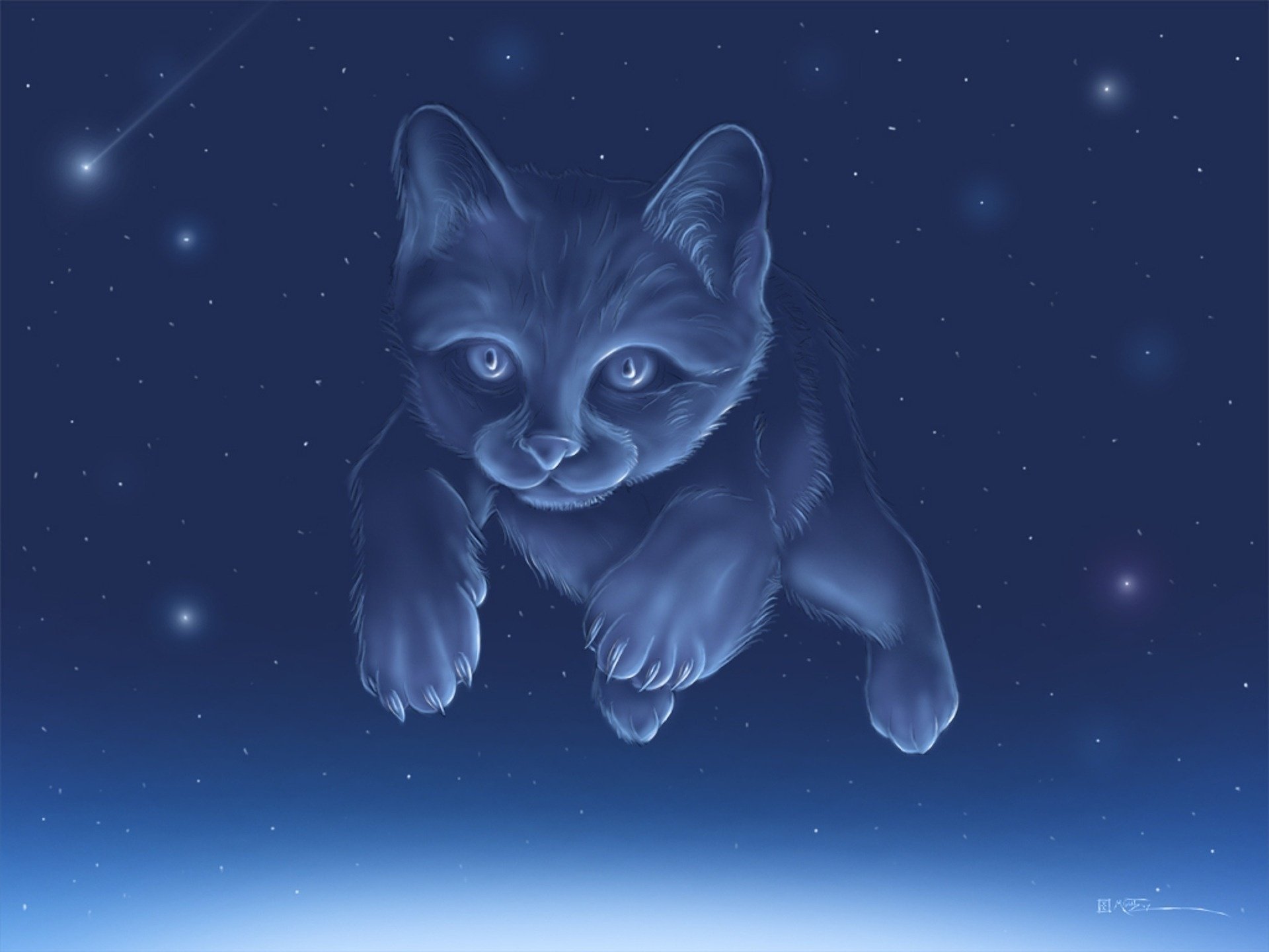 chat constellation ciel vue félin