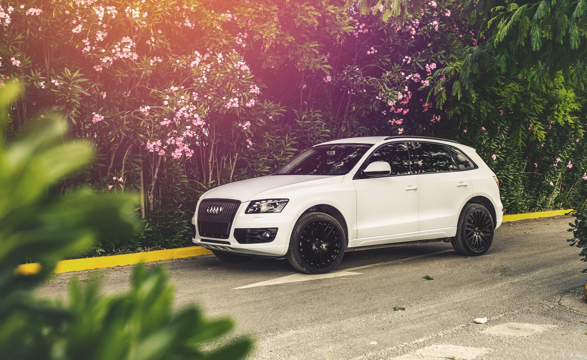 audi q5 dispositivo uno blanco audi