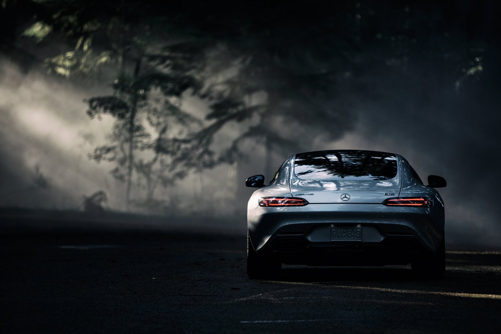 mercedes-benz amg gt s 2016 plata color sol oscuro bosque trasero