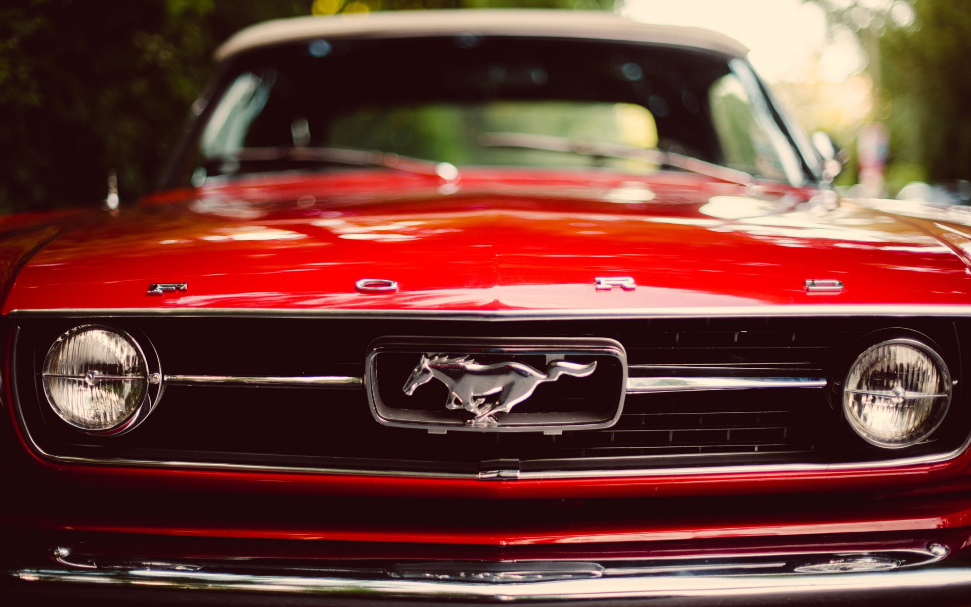 ford mustang classique voiture