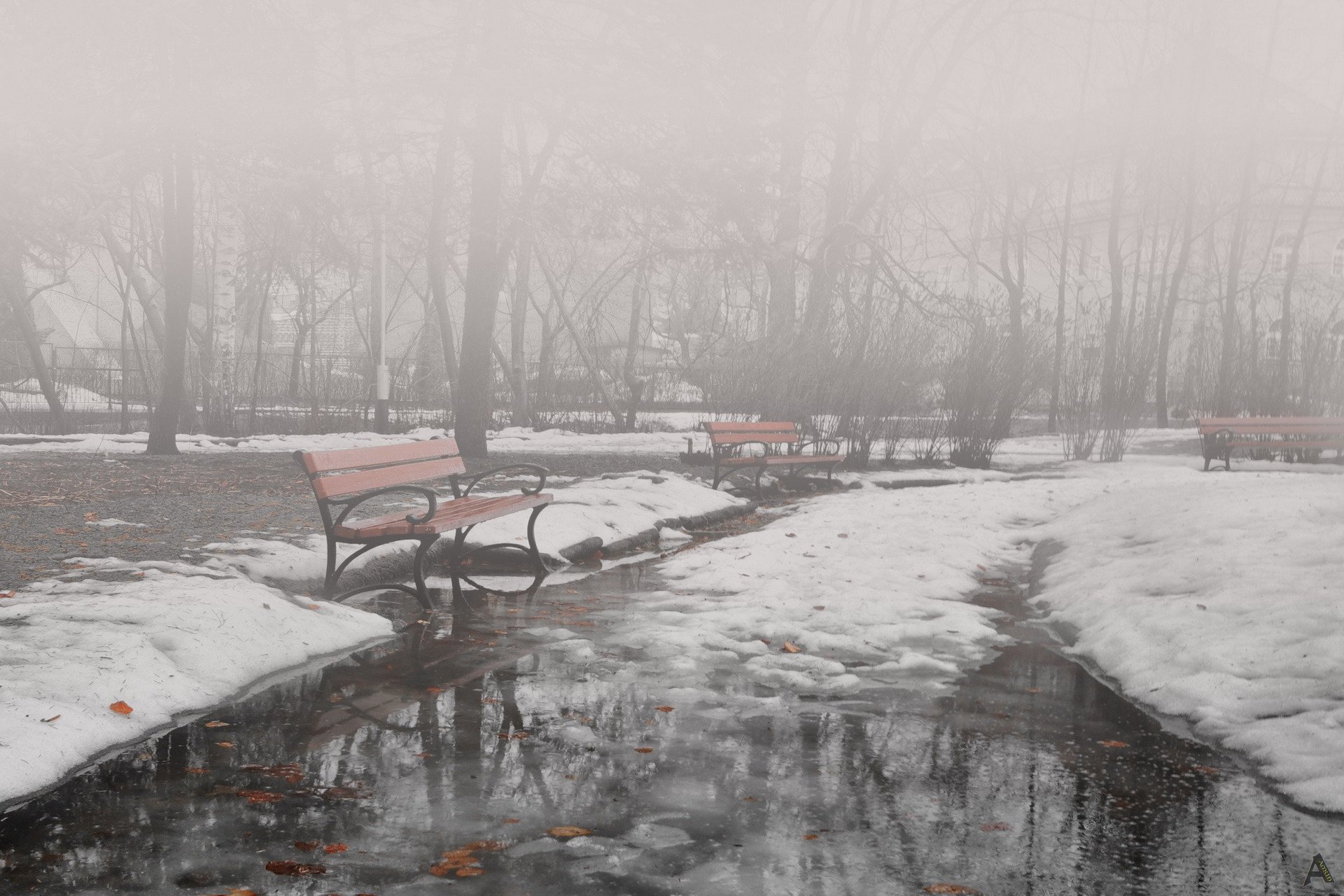 park nieselregen winter bänke nebel natur pfützen schlechtes wetter grau tauwetter schmelzen wasser bänke bewölkt