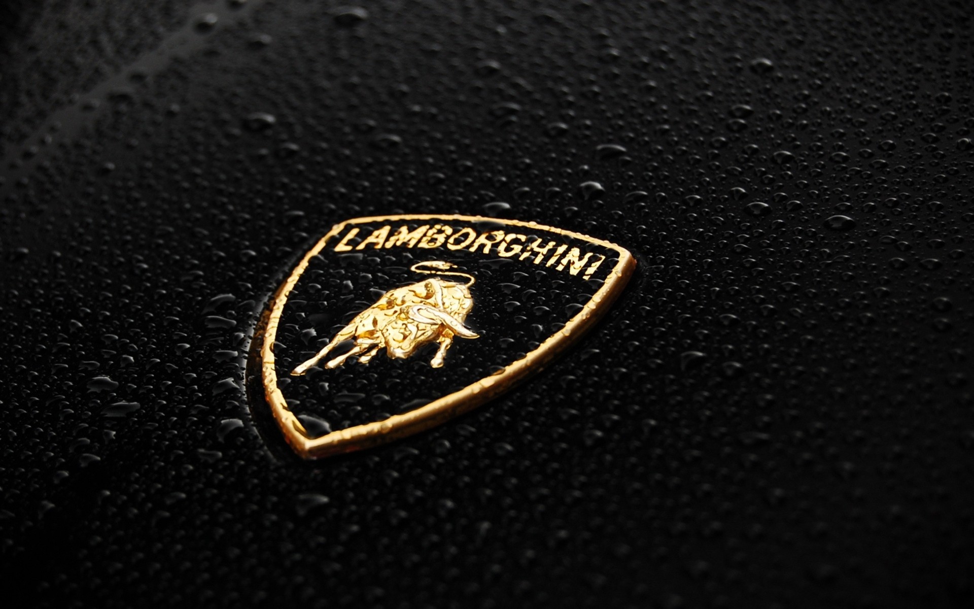 emblema lamborghini distintivo