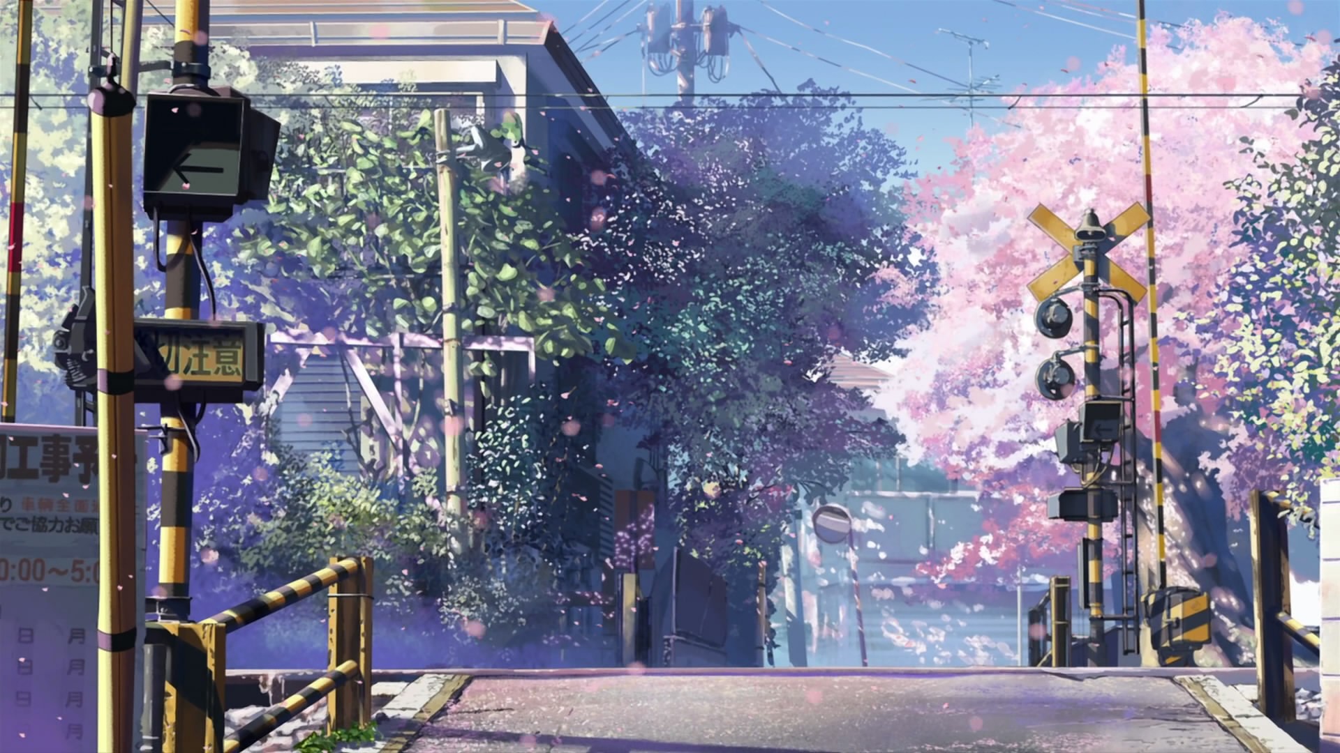 makoto shinkai traffico ferroviario segni 5 centimetri al secondo sakura