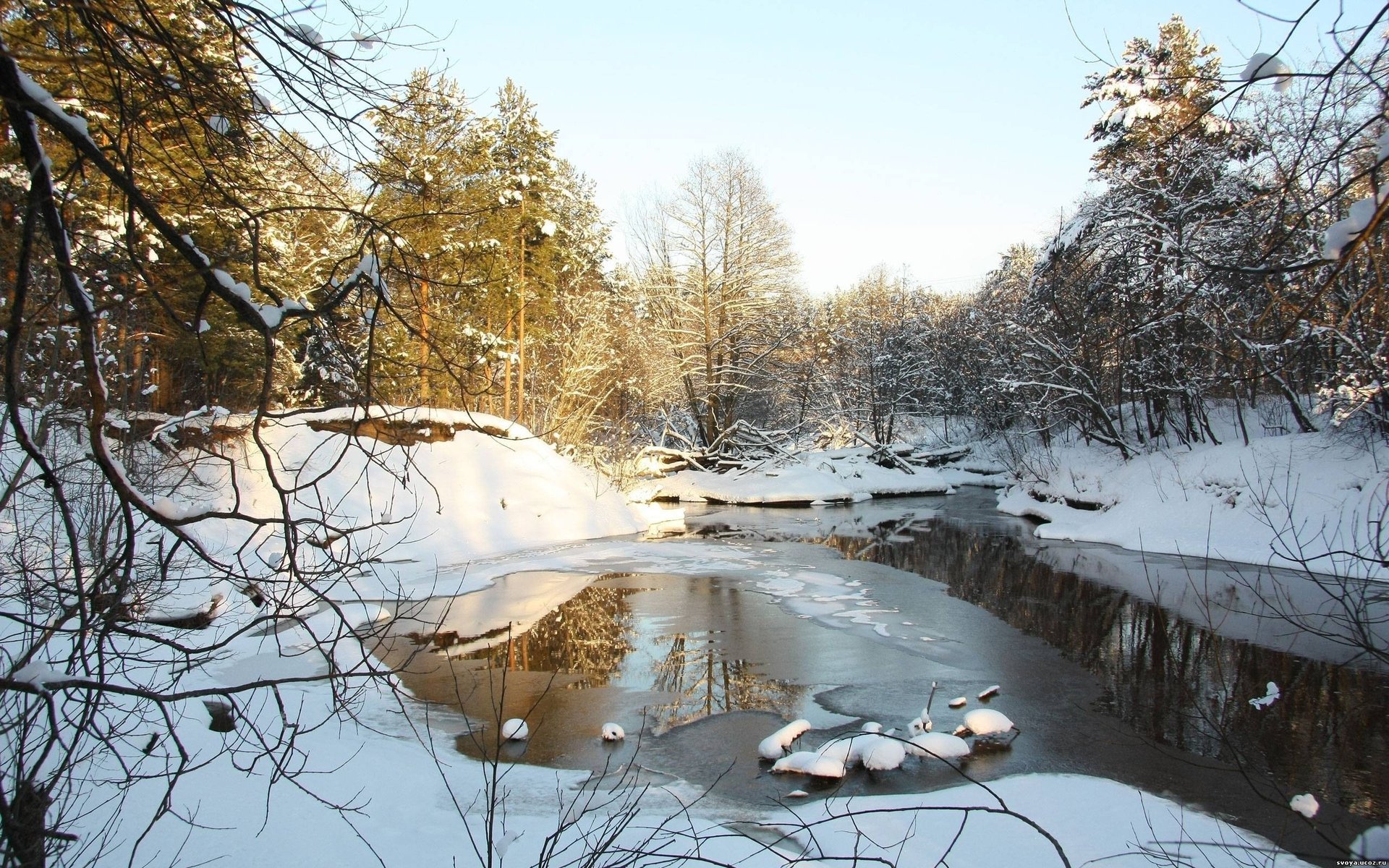 dova nature pins arbres neige printemps rivière llod hiver forêt branches ciel rayons du soleil