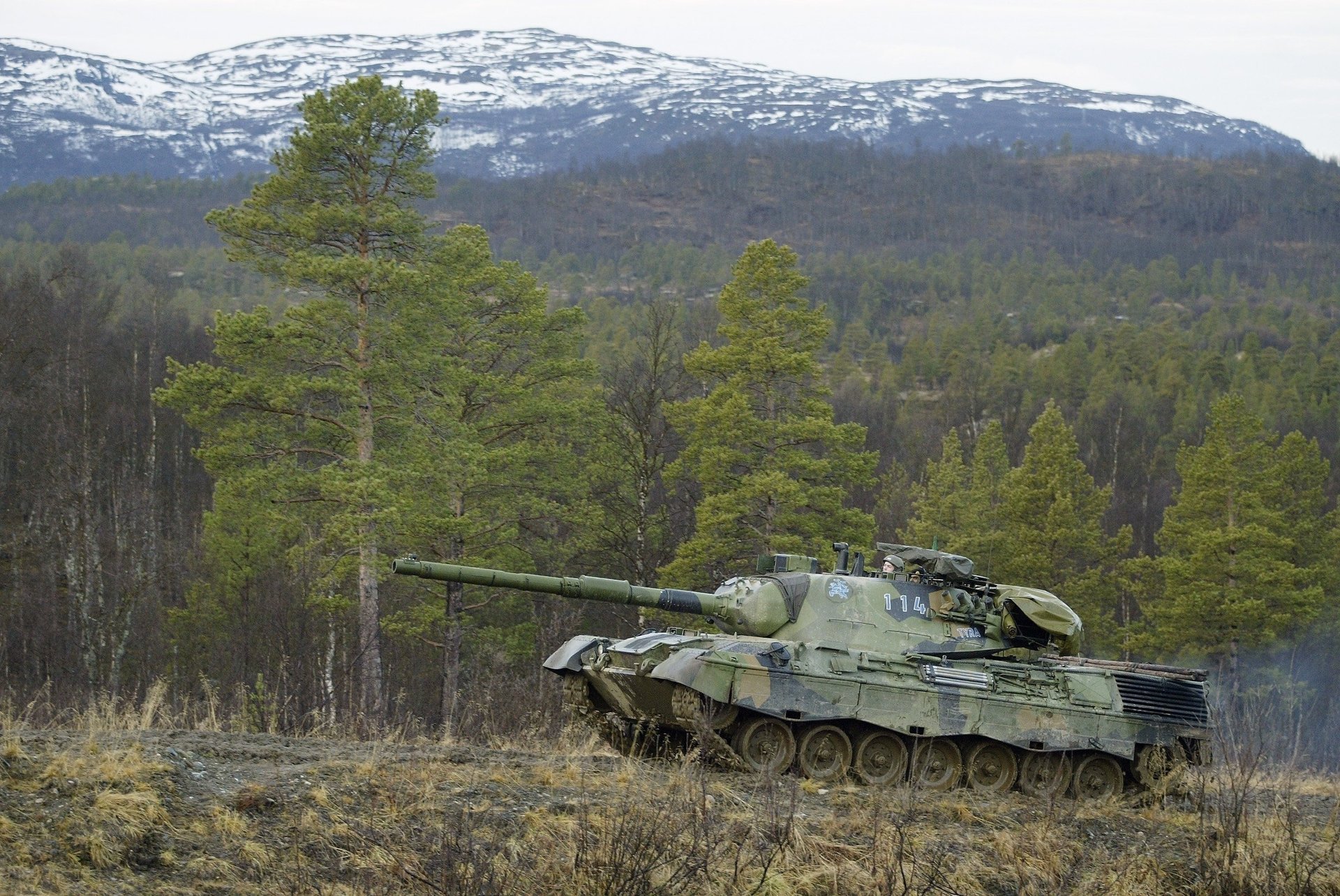 tanque picos nevados bosque leopard1 equipo militar montañas paisaje naturaleza perfil árboles otoño subida