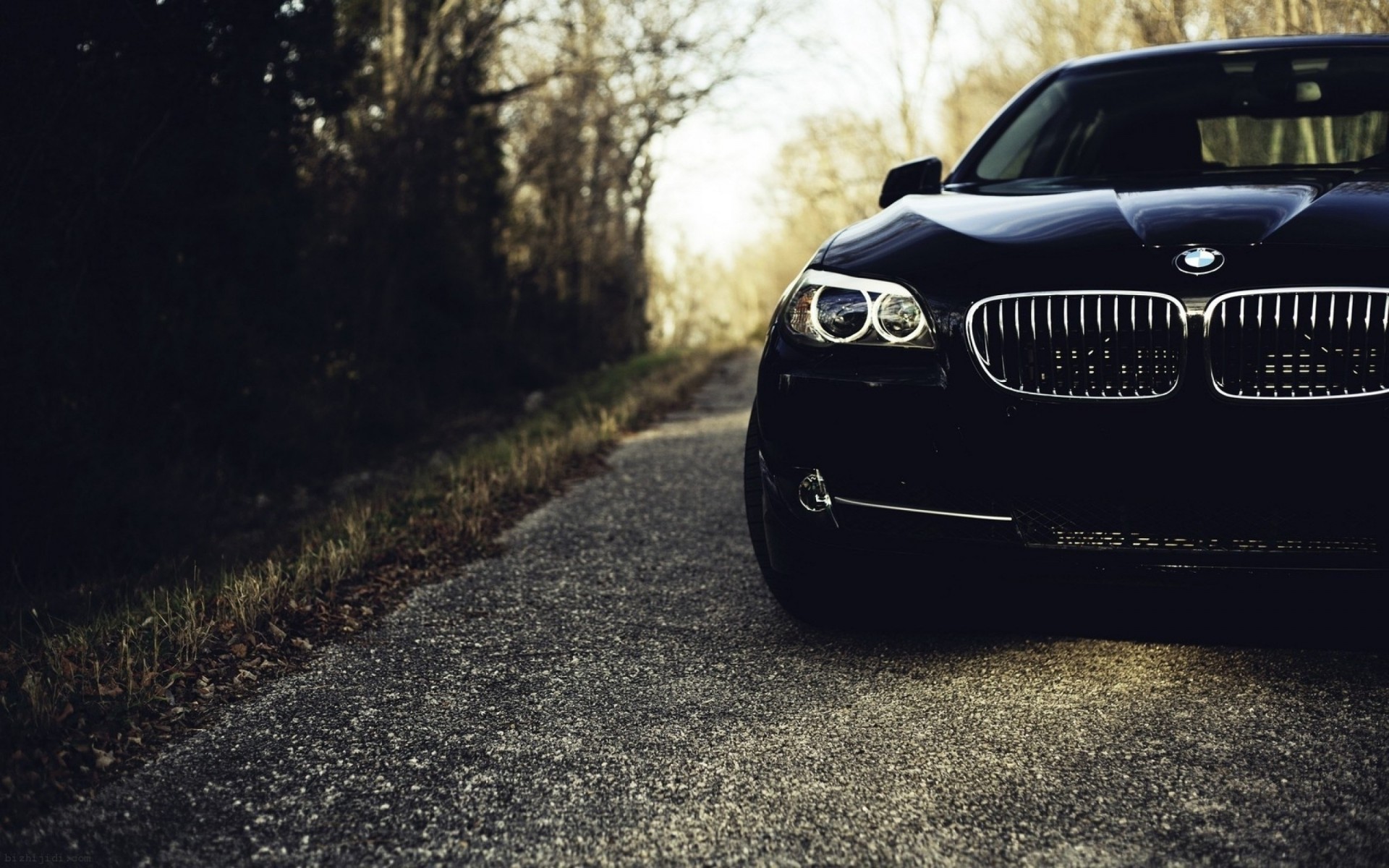 voiture bmw noir m5