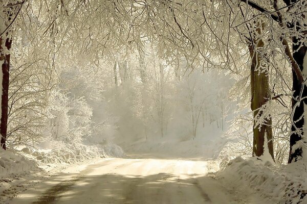 Camino de invierno al bosque de hadas