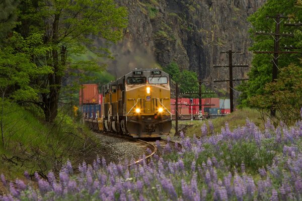 Ferrocarril locomotora naturaleza