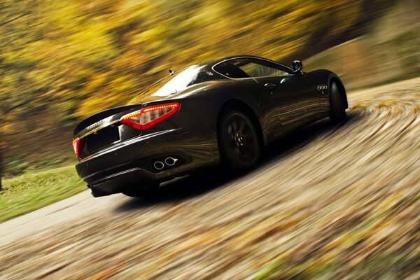 Sullo sfondo della foresta autunnale, una Maserati nera corre a tutta velocità