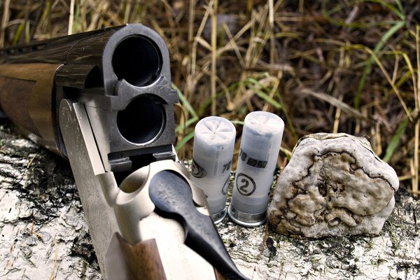 Hunting rifle on a log in the forest