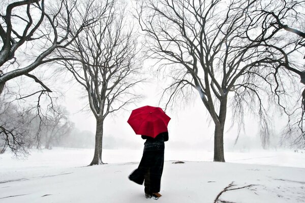 Winter Park and Japanese-style umbrella