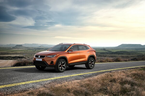 A car on a country road in the afternoon with a landscape on the steppe and mountains