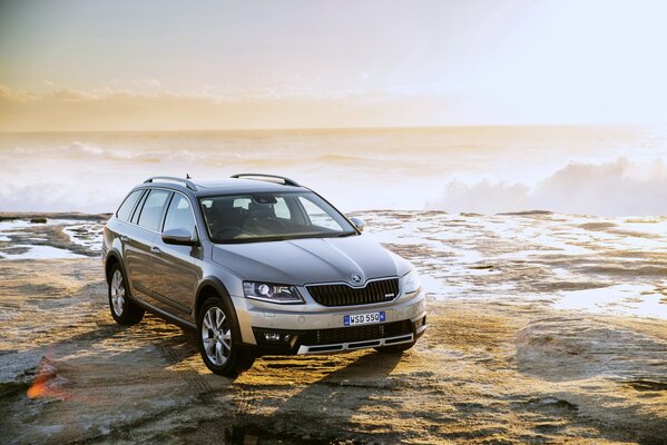 Luxury Skoda Octavia 2015