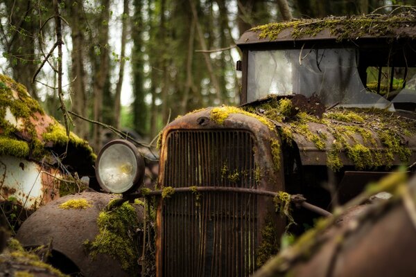 An old car covered with moss