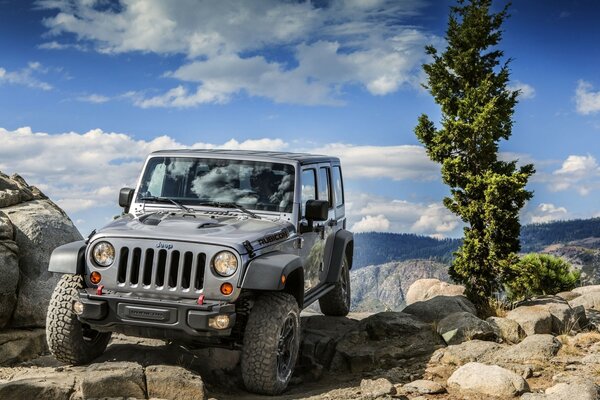 Jeep américaine 2013 hors route