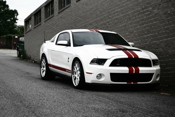 Voiture Ford couleur blanche avec bande rouge