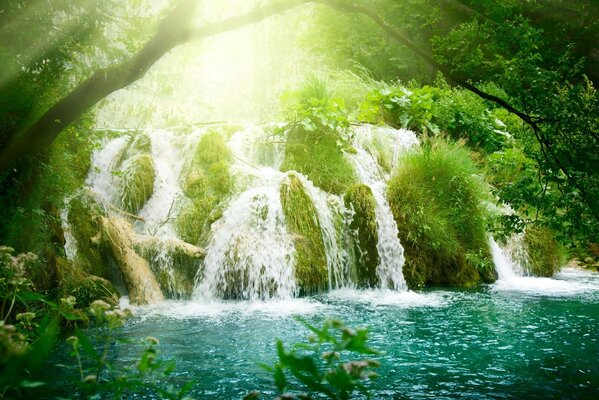 Los rayos del sol llegaron a través de la cascada y el verde, creando la ilusión de agua verde