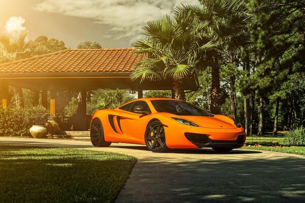 Auf der Straße unter Palmen - ein leuchtend orange Supersportwagen von McLaren