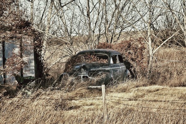 A plot with an abandoned house and a rotten rare car