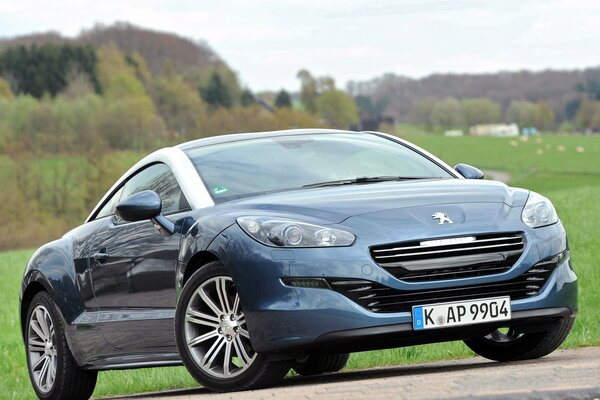 Peugeot en medio de prados verdes