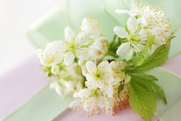 Brin de fleur de cerisier sur boîte-cadeau