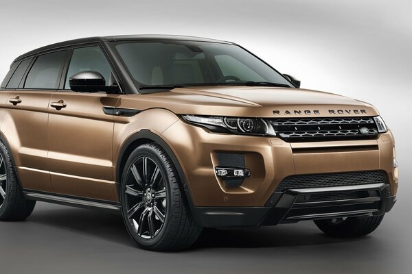 The Range rover car is a cool SUV