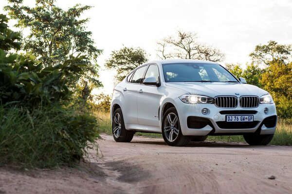 Bmw, x6 auf einem Feldweg am Gebüsch