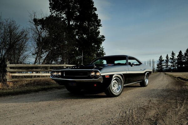 DODGE CHALLENGER ON THE RIGHT-OF-WAY