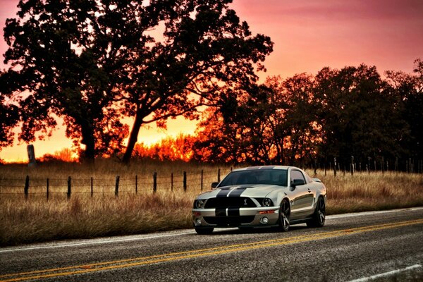 Il leggendario Shelby rotola al tramonto