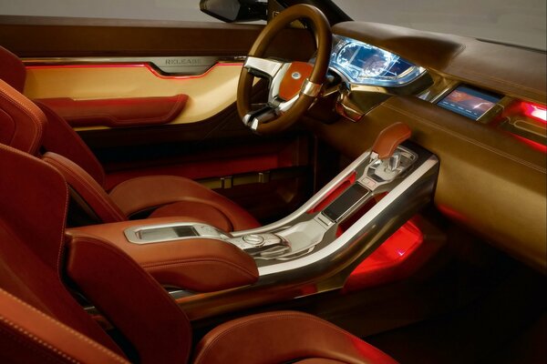 Interior of an expensive illuminated car