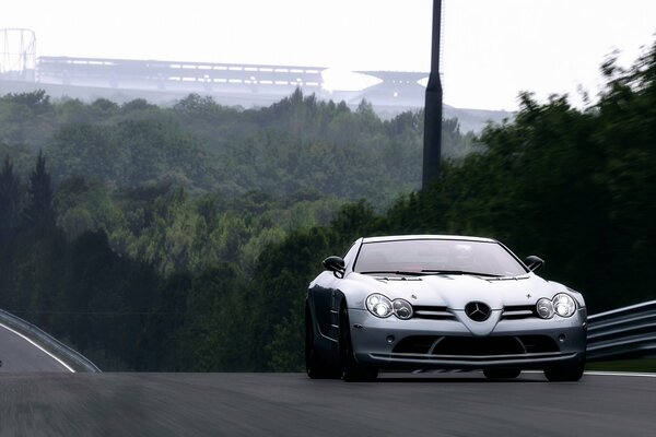 Mercedes-Benz drives along the road, along which the forest stretches