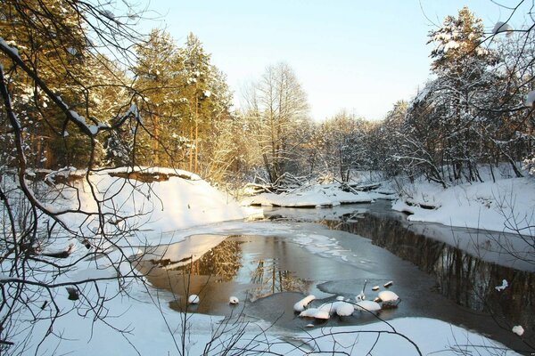 Lago della foresta sciolto nel disgelo primaverile