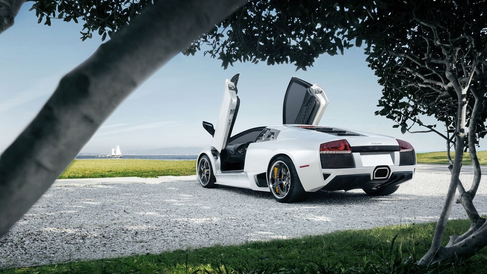 lamborghini murcielago lp640-4 white supercar trees grass sky sun rear