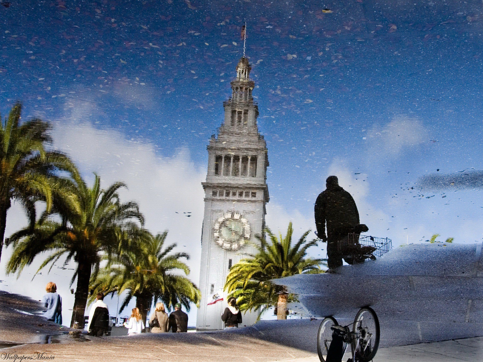 reflection a pool tower