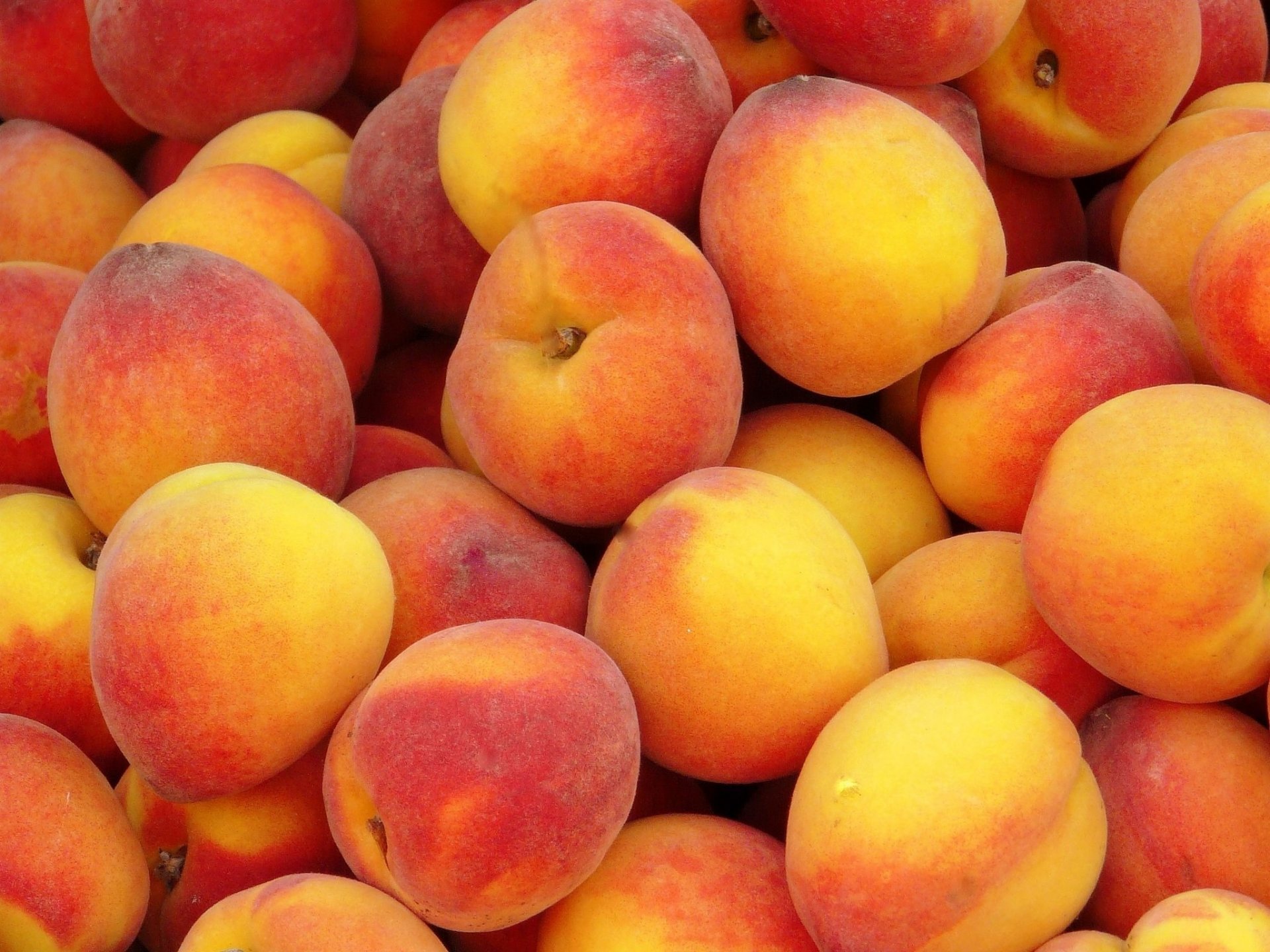 fruits beaucoup pêches fruits