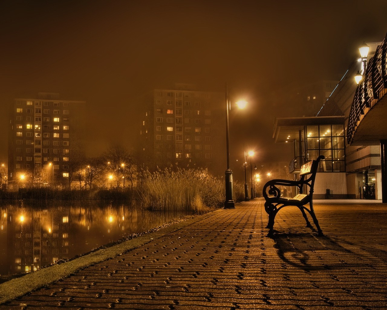 bench autumn night landscape