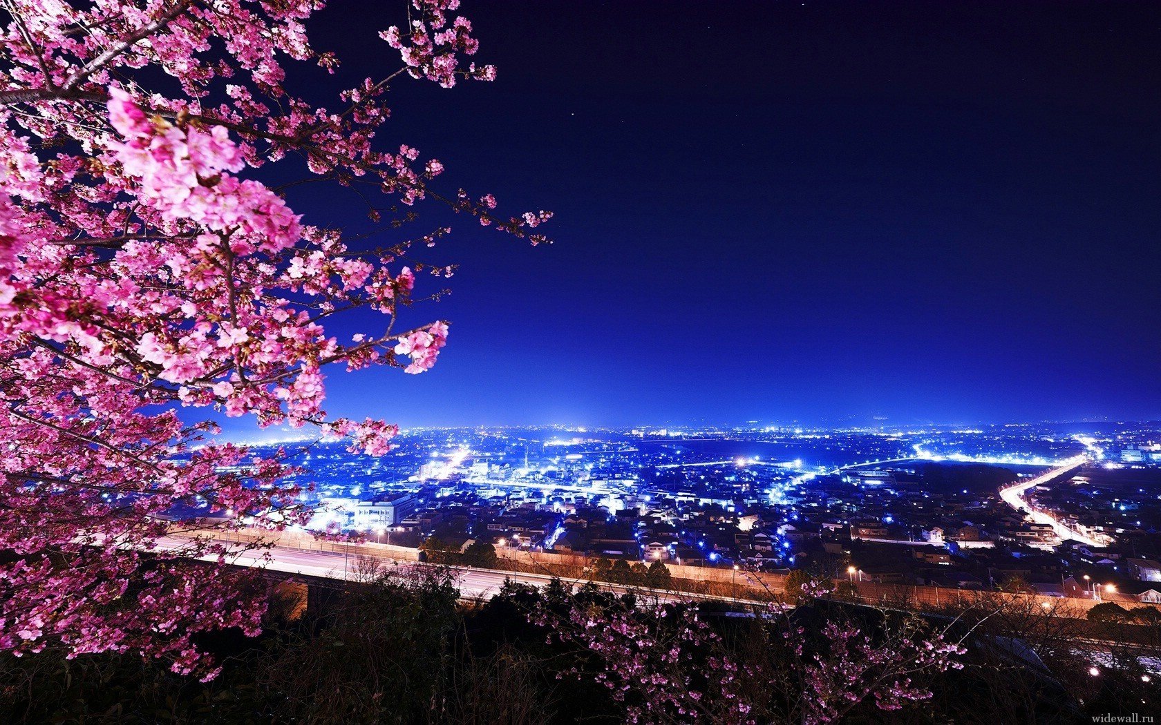 fiori città notte luci albero vista montagna vista dall alto cielo megalopoli cielo notturno luci della città primavera