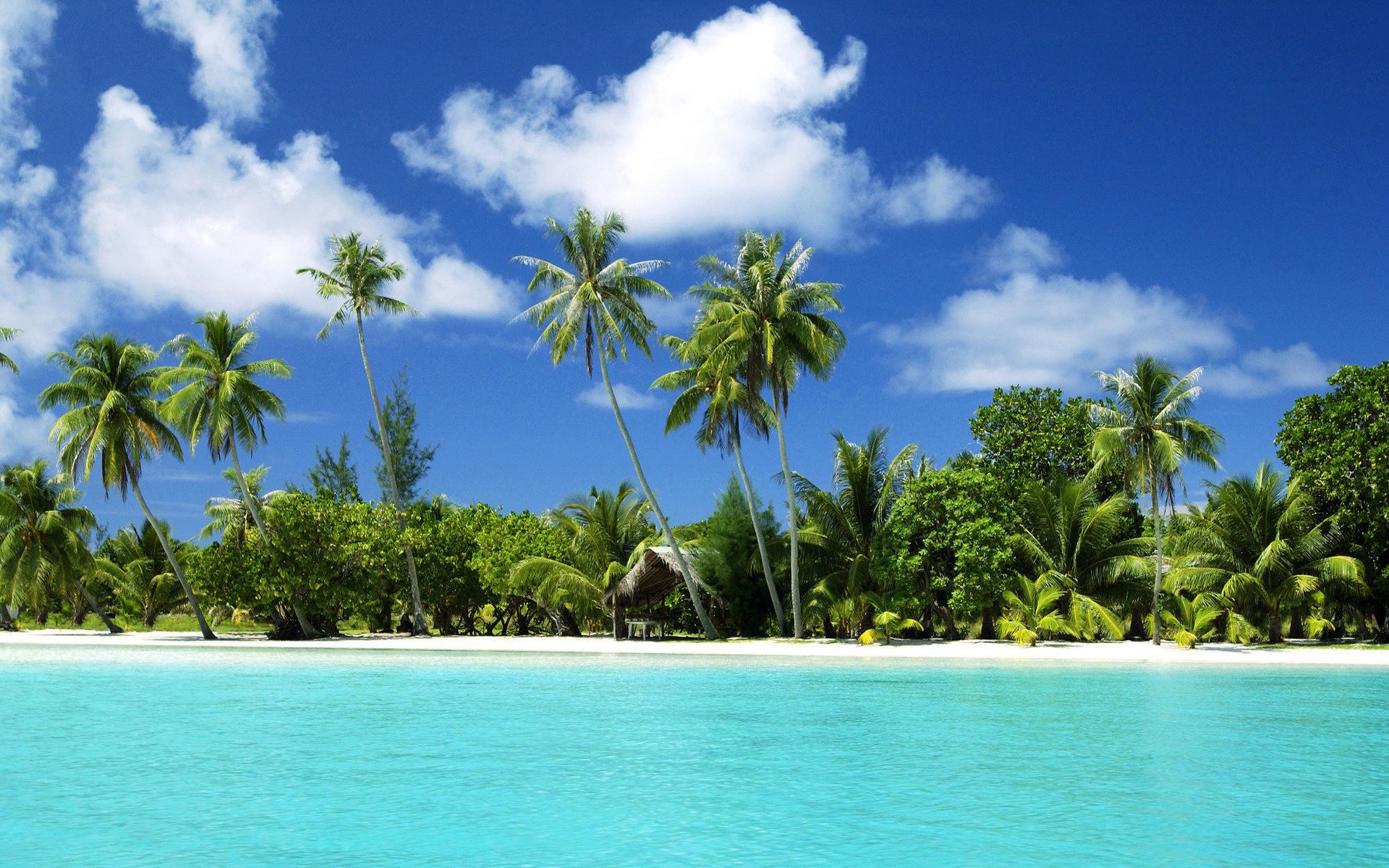 île tropicale plage mer océan sable palmiers eau ciel nuages verdure soleil été vacances