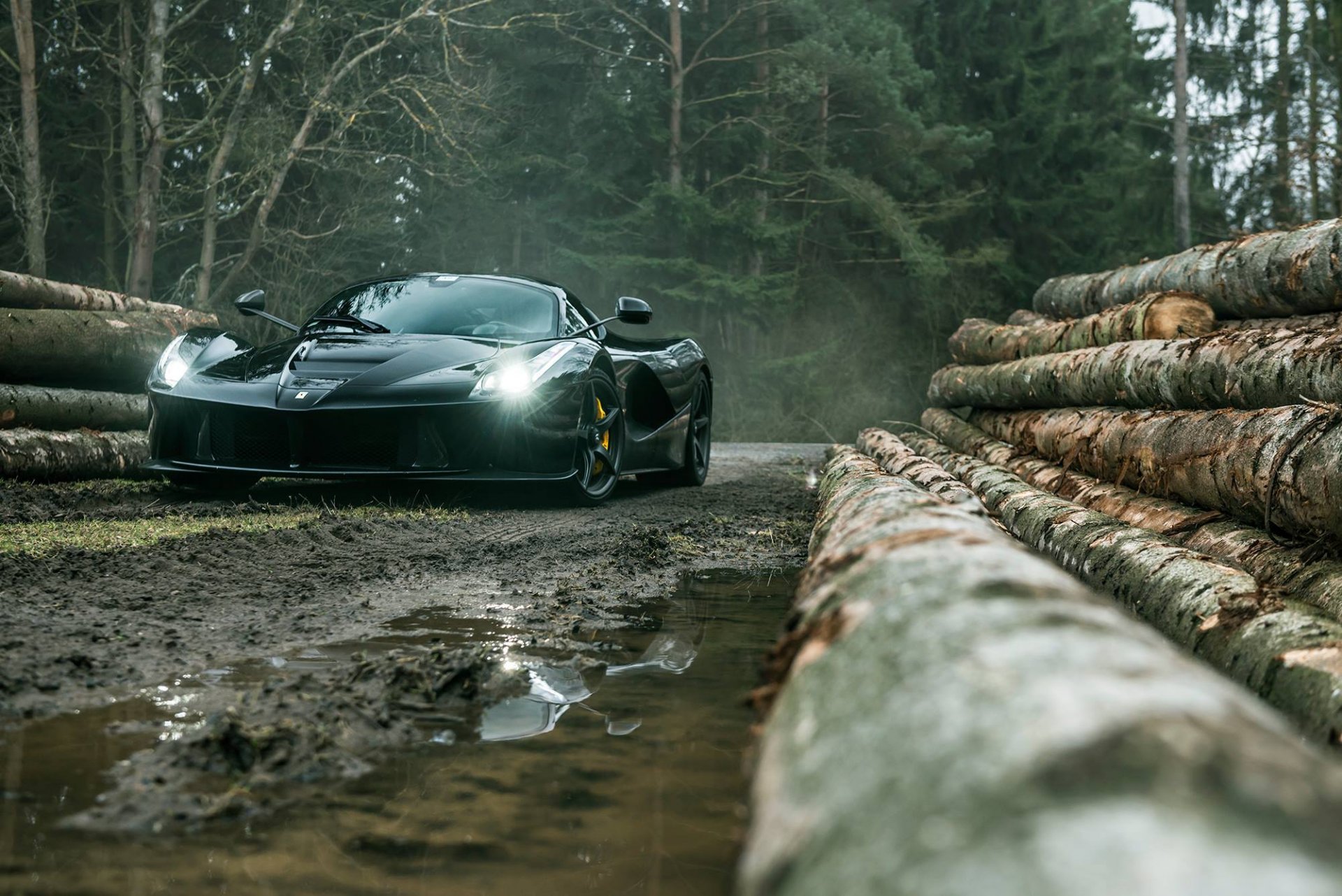 ferrari laferrari schwarz supersportwagen vorne dunkel wald